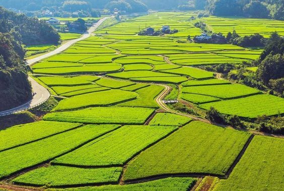 98765-qupv8chu9mrnz70cyn6xmsko48gg0jnjdq2q6otfim